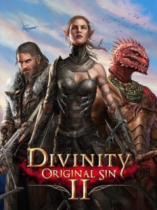 Divinity: Original Sin 2 player count