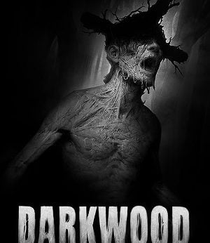 Darkwood player counts Stats and Facts
