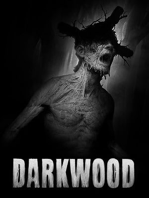 Darkwood player count stats