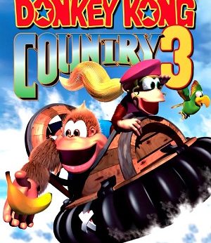 Donkey Kong Country 3 player counts Stats and Facts