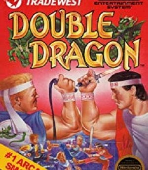 Double Dragon player counts Stats and Facts