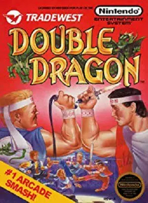 Double Dragon player count stats