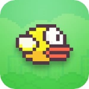 Flappy Bird facts
