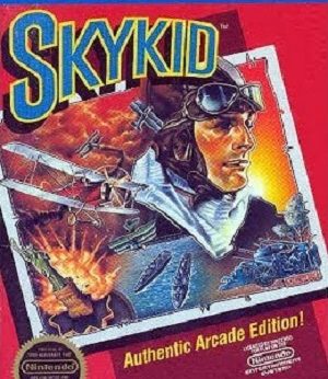 Sky Kid player count Stats and Facts