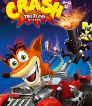 Crash Tag Team Racing player count Stats and Facts