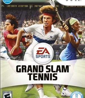 Grand Slam Tennis player count Stats and Facts