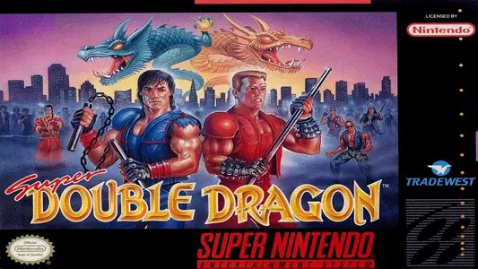 Super Double Dragon facts