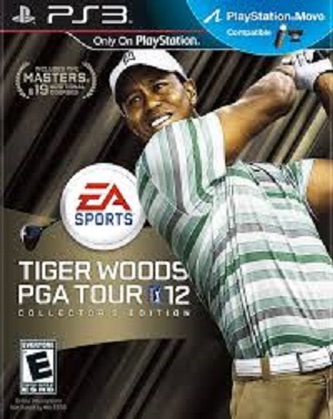 Tiger Woods PGA Tour 12 player count stats