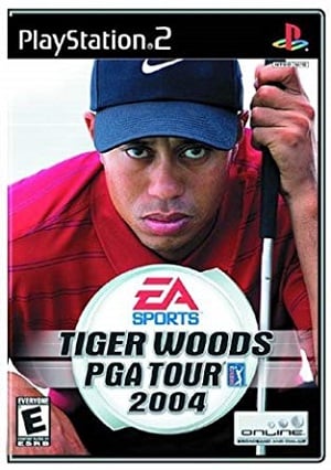 Tiger Woods PGA Tour 2004 player count stats