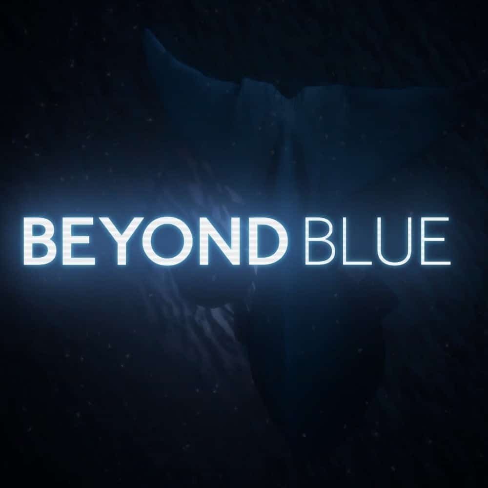 Beyond Blue player count stats