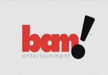 BAM! Entertainment Stats & Games