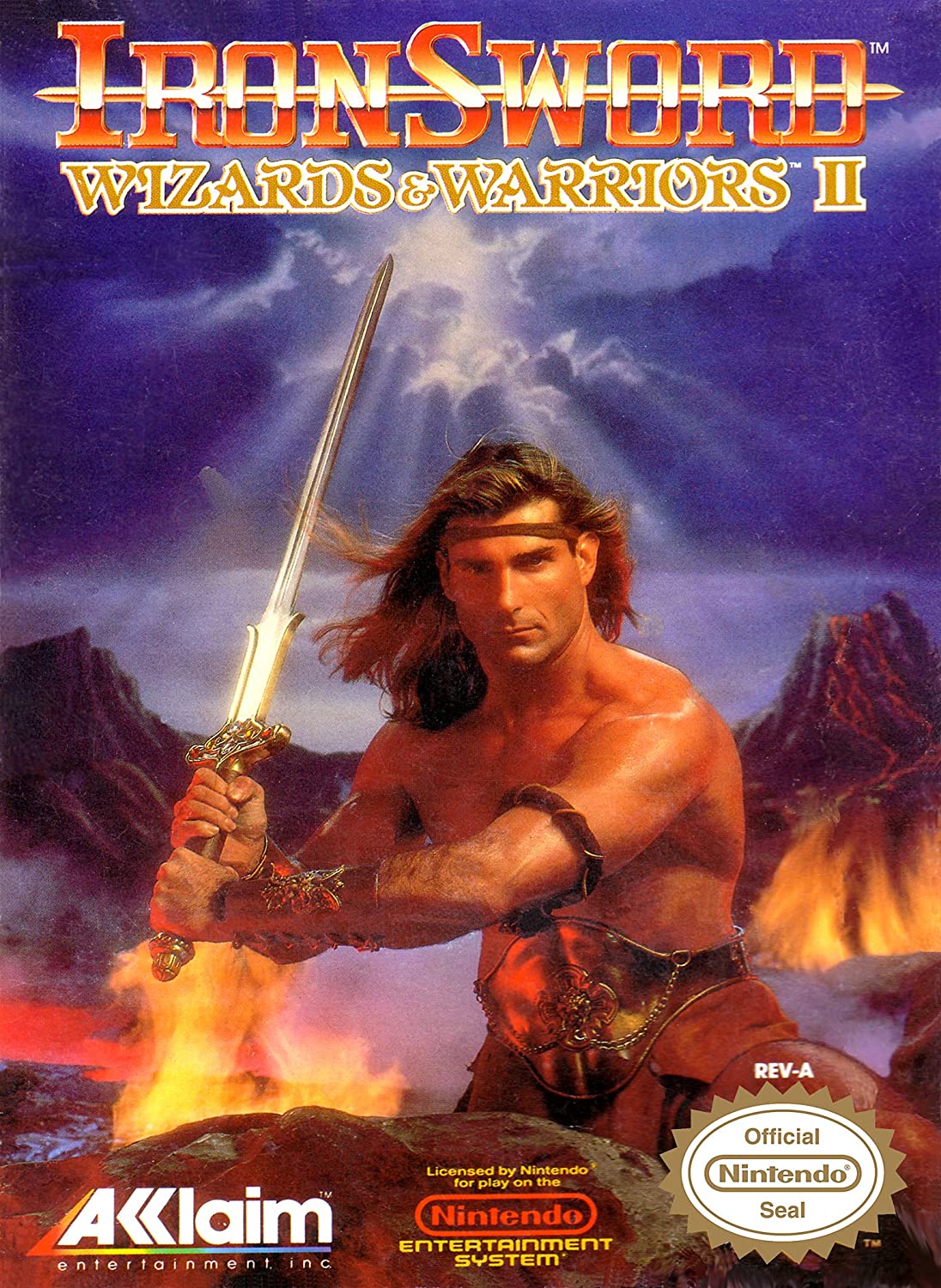 Ironsword: Wizards & Warriors II player count stats