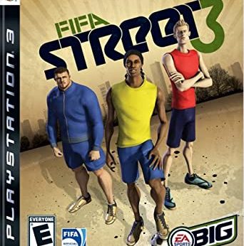 FIFA Street 3 player count Stats and Facts
