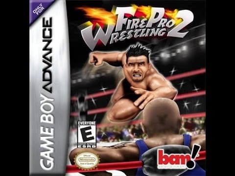 Fire Pro Wrestling 2 player count stats