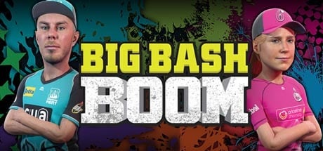 Big Bash Boom player count stats