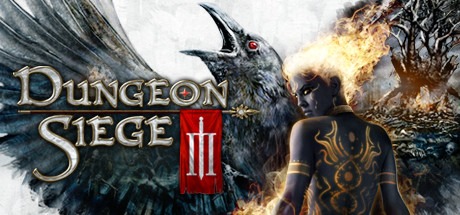 Dungeon Siege III player count stats