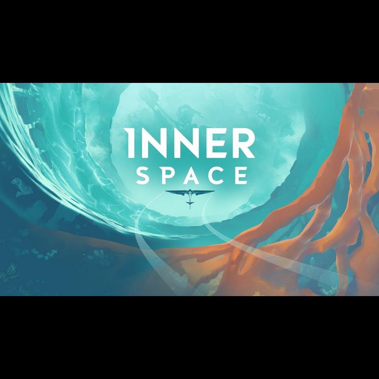 InnerSpace player count stats