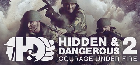 Hidden & Dangerous 2 player count stats