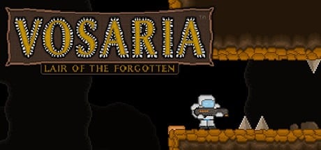 Vosaria: Lair of the Forgotten player count stats