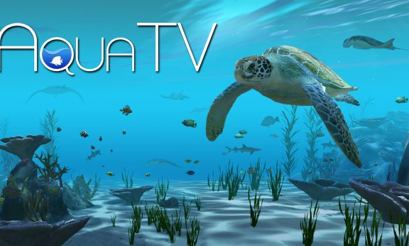 Aqua TV player count Stats and facts