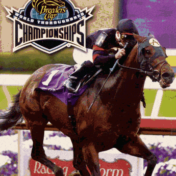 Breeders' Cup World Thoroughbred Championships player count stats and facts