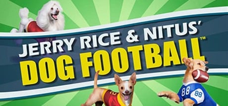 Jerry Rice & Nitus’ Dog Football player count stats
