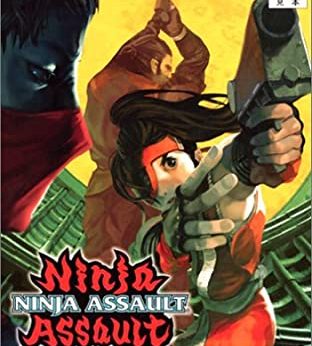 Ninja Assault player count Stats and facts