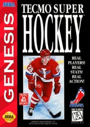 Tecmo Super Hockey player count stats