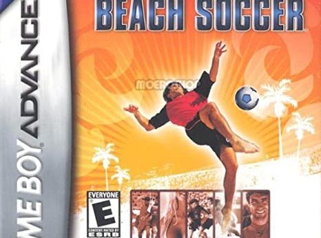 Ultimate Beach Soccer player count stats and facts