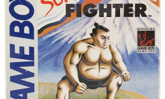 Sumo Fighter player count Stats and Facts