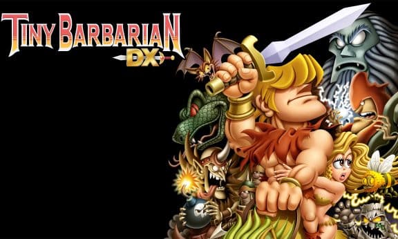 Tiny Barbarian DX player count Stats and Facts