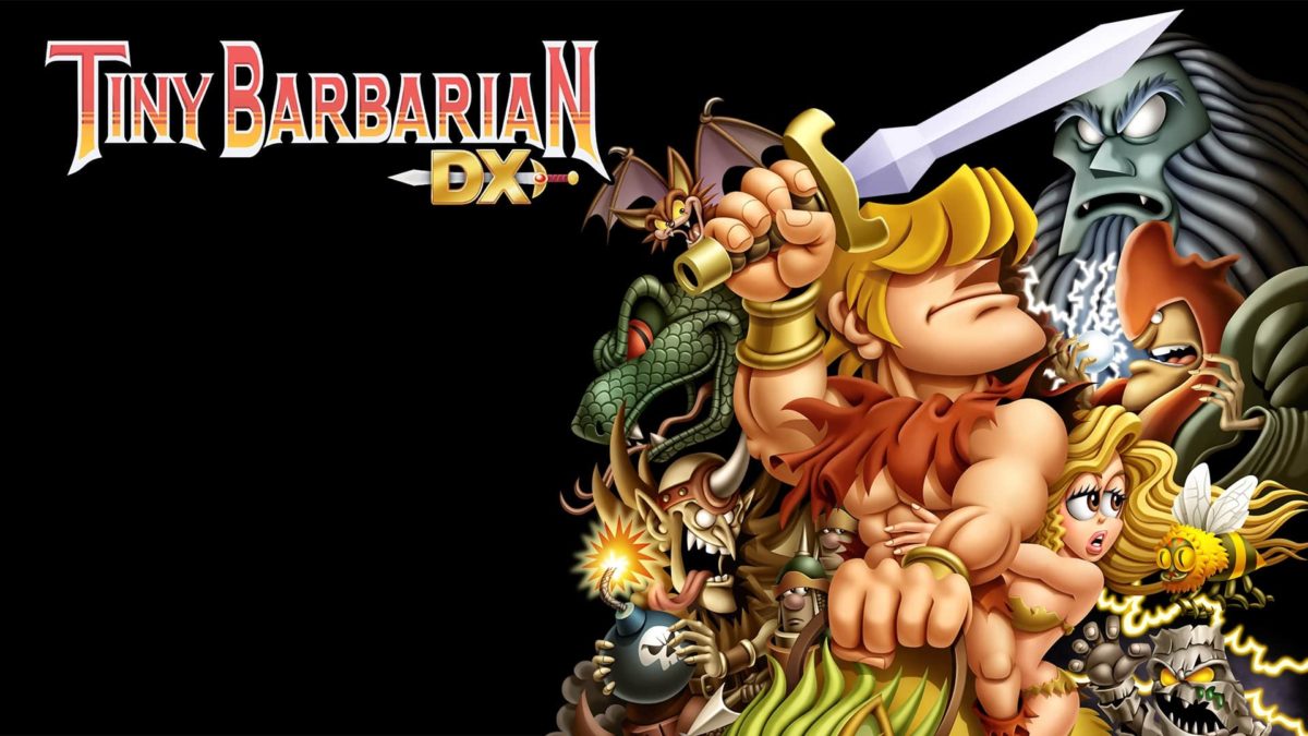 Tiny Barbarian DX player count stats