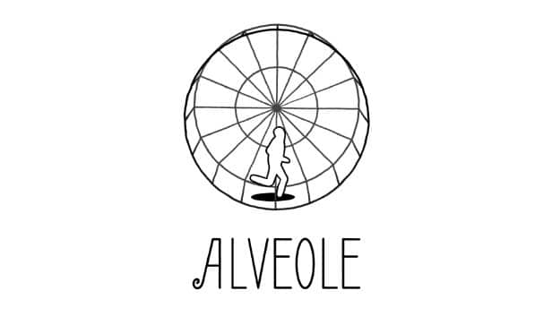 Alveole statistics player count facts